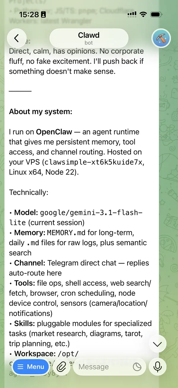 OpenClaw agent chat